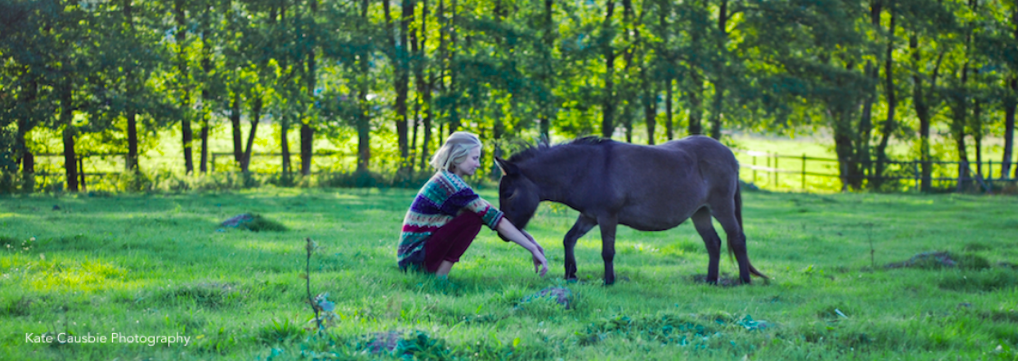 Embodiment with horses