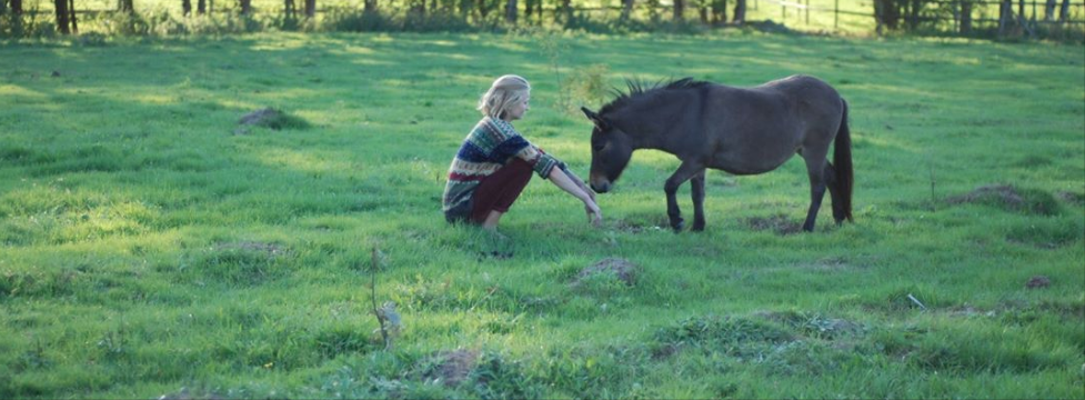 mindfulness with horses