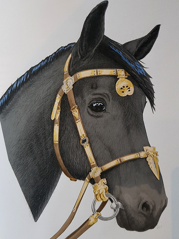 Illustration bridle