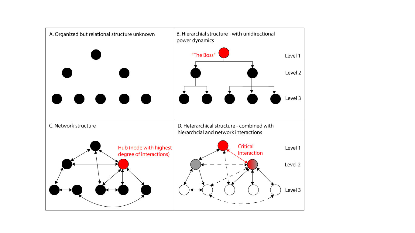 Social Interaction Structures