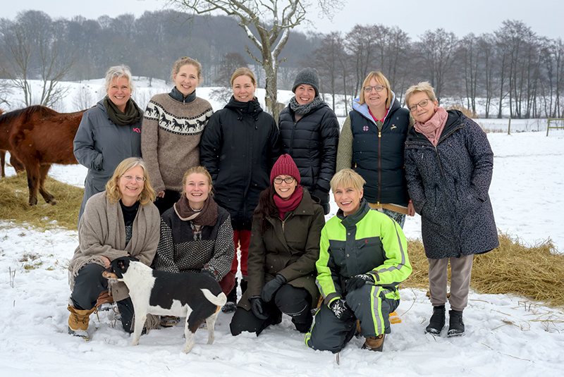 Equines in Therapy and Learning Training January 2019