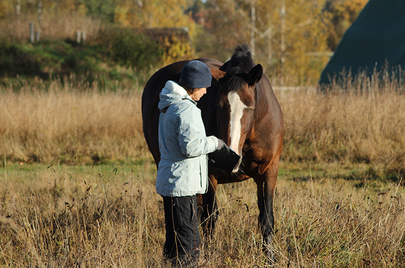 A woman and a horse, in Dzīvā pļava in Latvia