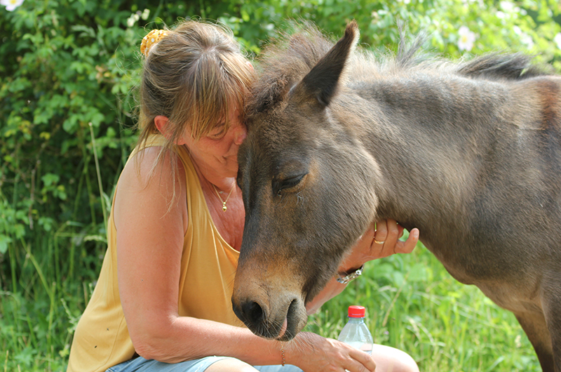 Woman and mule