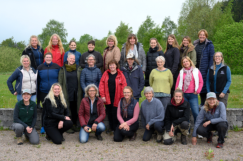 Equines in Therapy and Learning Training Sweden