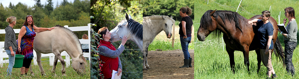Equine Centers and Collaborators Worldwide