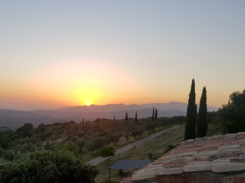 View from the top terrace