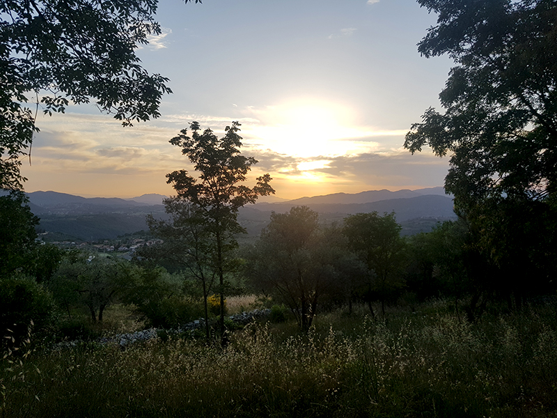 View from the entrance road