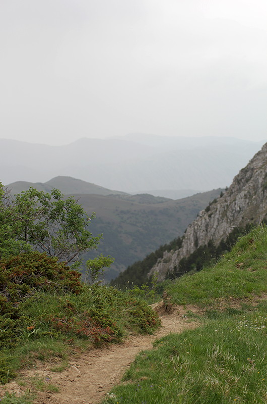 Up the mountains