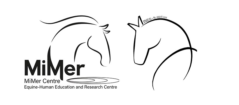 MiMer Centre and Minds-n-Motion Collaboration